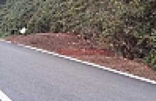 SORUMSUZLUK TEPKİSİ