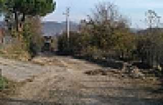 Sorunlar Çözüme Kavuşuyor