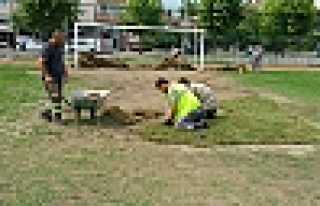 STADIN BAKIM ÇALIŞMALARI SÜRÜYOR