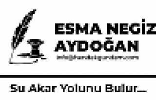 Su Akar Yolunu Bulur...