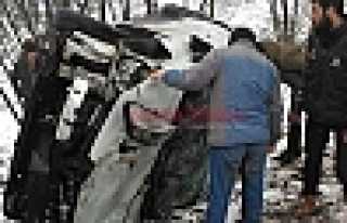 Takla Atarak Fındık Bahçesine Uçtu