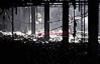 Tavuk Çiftliğinde Yangın