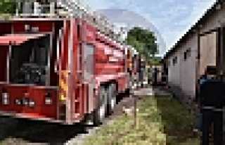 Tavuk Kümesi Alevlere Teslim Oldu