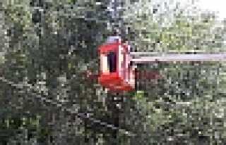 TELE GELEN DALLAR KESİLDİ