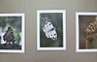 UÇAN RENKLER GALERİ’DE