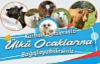 Ülkü Ocakları Kurban Derisi Bağışlarınızı...