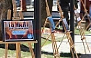 Ülkü Ocaklarından Çanakkale Sergisi