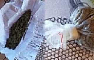 Uyuşturucu Operasyonu 3 Tutuklama