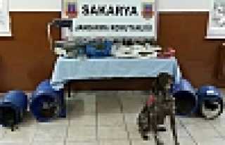 UYUŞTURUCUYA BÜYÜK DARBE 