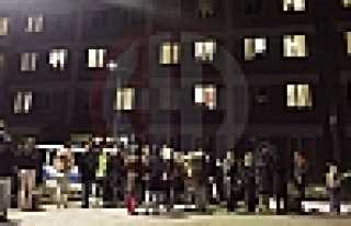 Valilikten Kedi Kız Açıklaması