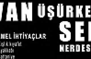 VAN ÜŞÜRKEN SEN NERDESİN 