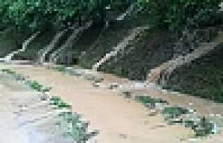 Vatandaş İsyan Etti