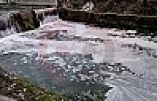 Vatandaşlardan Uludere Tepkisi