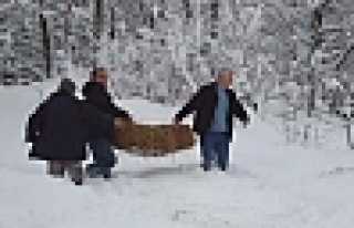 YABAN HAYVANLARI UNUTULMADI  