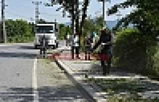 Yabani Otlar Temizleniyor