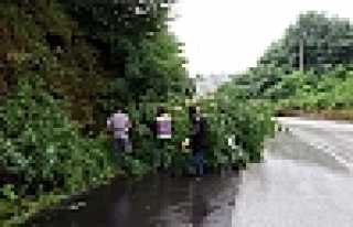 Belediye'den Anında Müdahale 