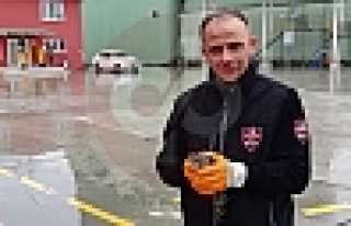 Yaralanan Atmacaya Şevkat Eli