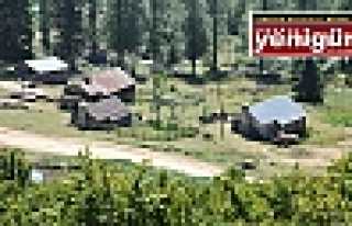 YAYLA EVİ OLANLAR DİKKAT! 