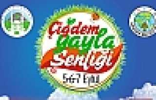 YAYLACILAR ÇİĞDEM’DE BULUŞUYOR