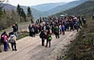 YAYLADA YÜRÜDÜLER