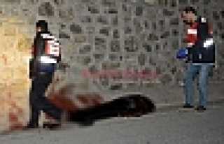 YOL KENARINDA ÖLÜ BULUNDU