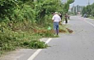 YOL KENARLARI TEMİZLENİYOR