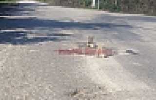 YOL YOK, ALT YAPI YOK, SU BASIYOR