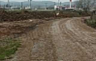 YOLLAR ÇAMUR DERYASI