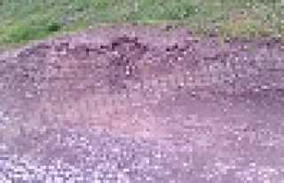 YOLLAR PATATES TARLASINA DÖNDÜ