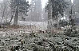 YÜKSEKLER BEYAZLADI