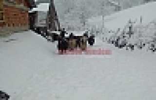 ZİRVE’DE KAR BAŞLADI