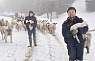 Zirveden Kar Manzaraları 