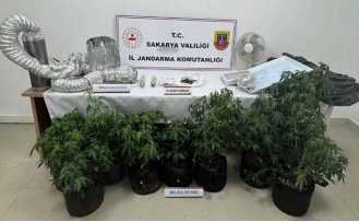 Jandarmadan Uyuşturucu Operasyonu