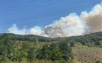 Hendek Hacimbey'de yangın!