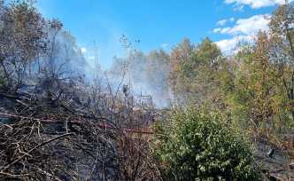 Orman Yangını Büyümeden Söndürüldü