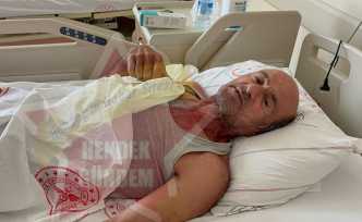 Hendek’te Ayı Saldırısı 1 Yaralı