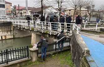 Hendek’teki Balık Ölümlerine İnceleme Başlatıldı
