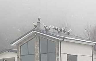 Göç Yolculuğuna Hendek’te Mola