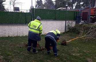 Hendek’te Yeşil Alanlarda Temizlik Ve Ağaçlandırma Seferberliği