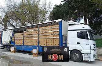 Hendek’te 8 Milyon Adet makaron Ele Geçirildi