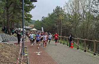 Sakarya 1. Bahar Kosusunda Hendek Damgası