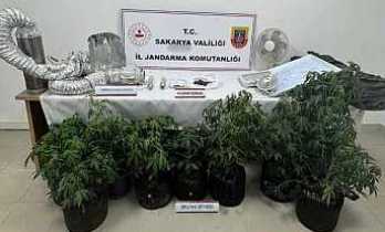 Jandarmadan Uyuşturucu Operasyonu