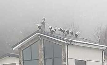 Göç Yolculuğuna Hendek’te Mola