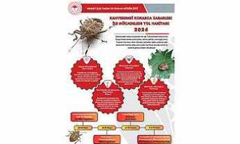 Hendek İlçe Tarım Müdürlüğünden Kahverengi Kokarca Uyarısı