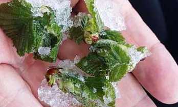 Meteoroloji’den Soğuk Hava ve Zirai Don Uyarısı