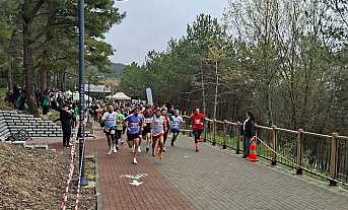 Sakarya 1. Bahar Kosusunda Hendek Damgası