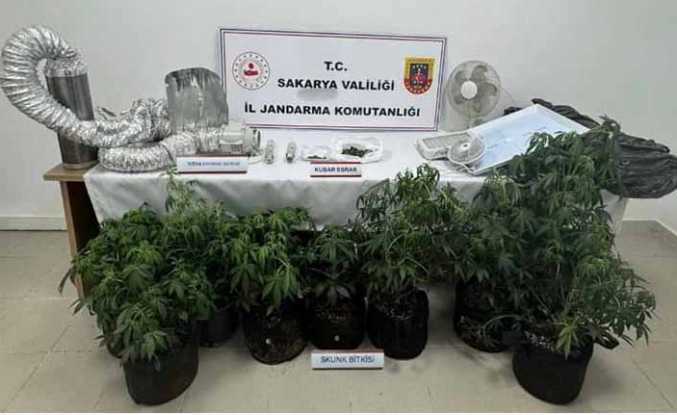 Jandarmadan Uyuşturucu Operasyonu