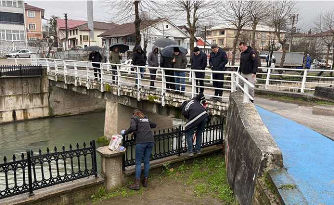 Hendek’teki Balık Ölümlerine İnceleme Başlatıldı