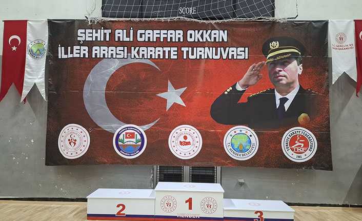 Hendek karate şöleni yaşanacak