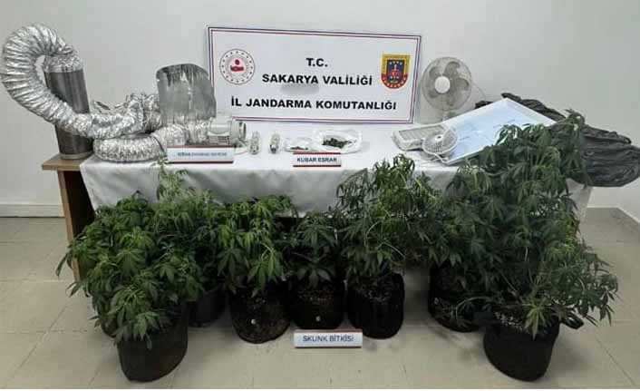 Jandarmadan Uyuşturucu Operasyonu